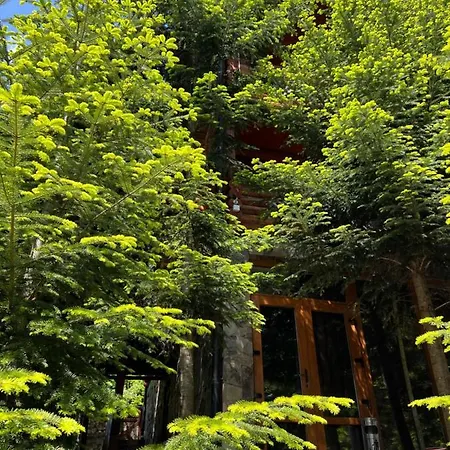 Vip карпати Villa Migovo