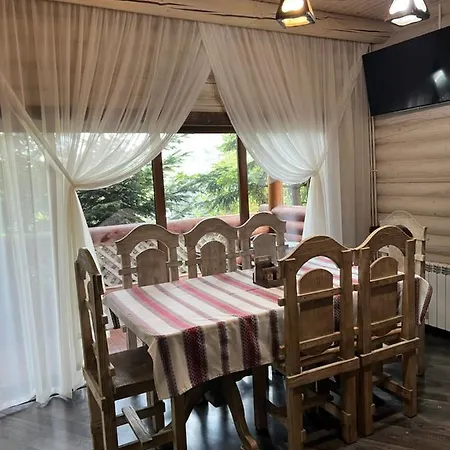Vip карпати