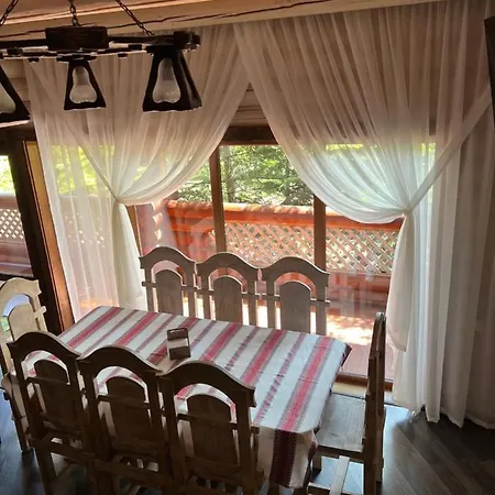 Villa Vip карпати *