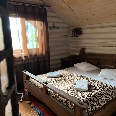 Vip карпати Βίλα Migovo