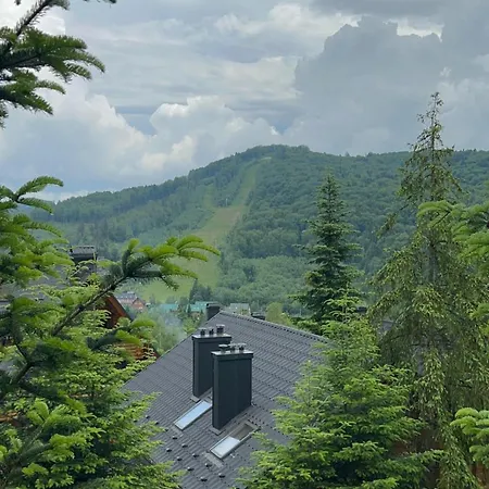 Vip карпати *