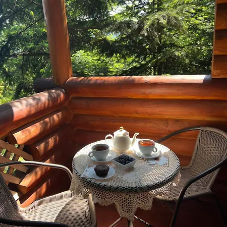 Vip карпати Migovo