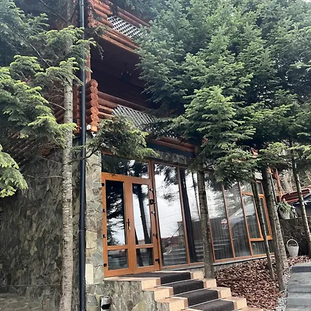 Vip карпати * Migovo