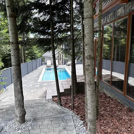 Villa Vip карпати