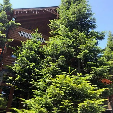 Vip карпати Villa