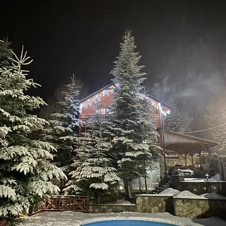 Vip карпати *