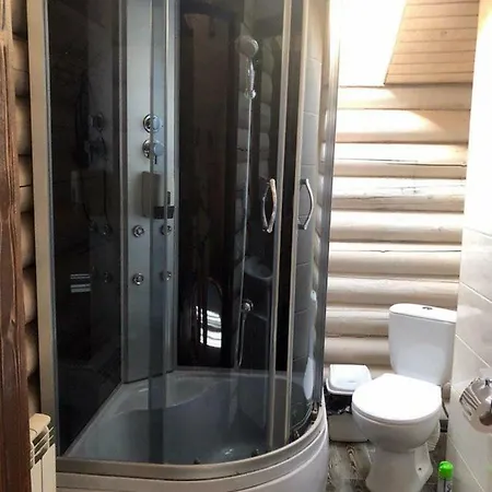 Vip карпати *