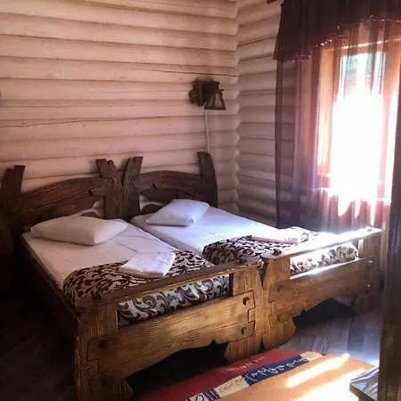 Vip карпати