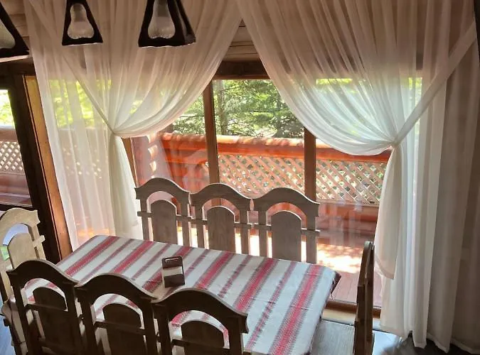 Villa Vip карпати *