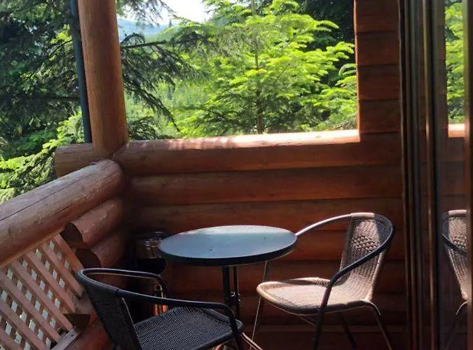 Villa Vip карпати *