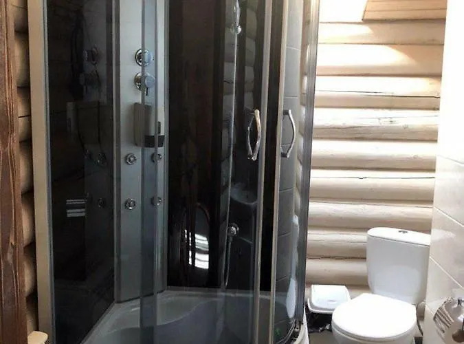 Vip карпати *